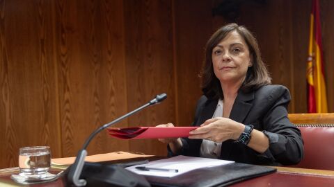 Imagen de la gerente del PSOE, Ana Mar&iacute;a Fuentes 