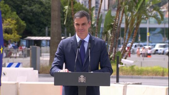 Imagen de Pedro S&aacute;nchez 