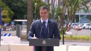 Imagen de Pedro S&aacute;nchez 