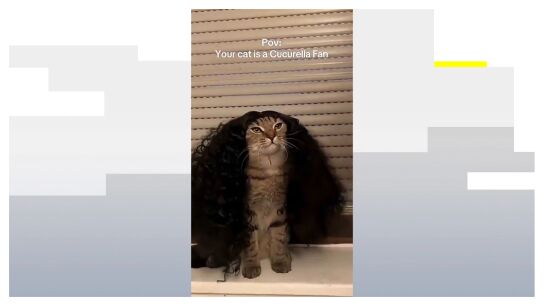El gato fan de Cucurella