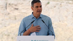 Imagen de Pedro S&aacute;nchez
