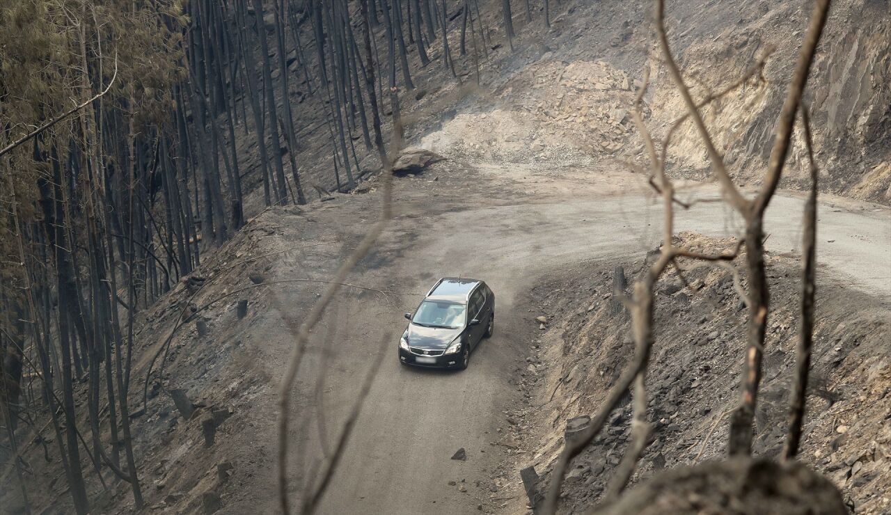 Lo que debes y no debes hacer si te encuentras un incendio en carretera