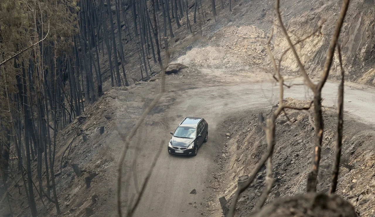 Lo que debes y no debes hacer si te encuentras un incendio en carretera