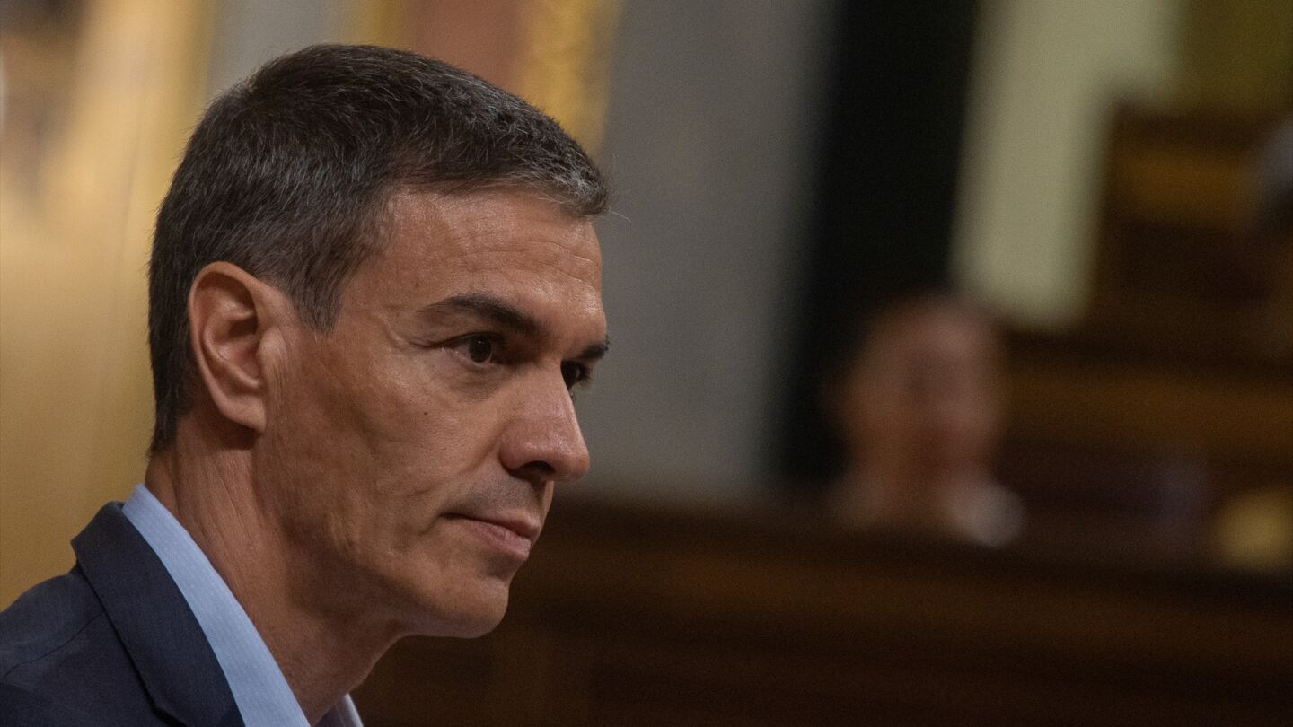 Pedro S&aacute;nchez 