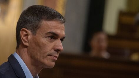 Pedro S&aacute;nchez 