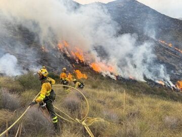 Los bomberos trabajan para apagar las llamas