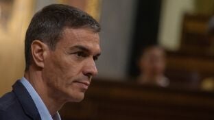 Imagen de archivo de Pedro S&aacute;nchez.