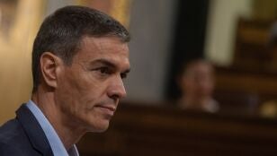 Imagen de archivo de Pedro S&aacute;nchez.