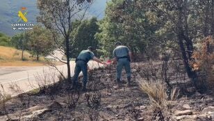 Detenido un hombre e investigado otro por presuntamente provocar 15 incendios en la provincia de Zamora