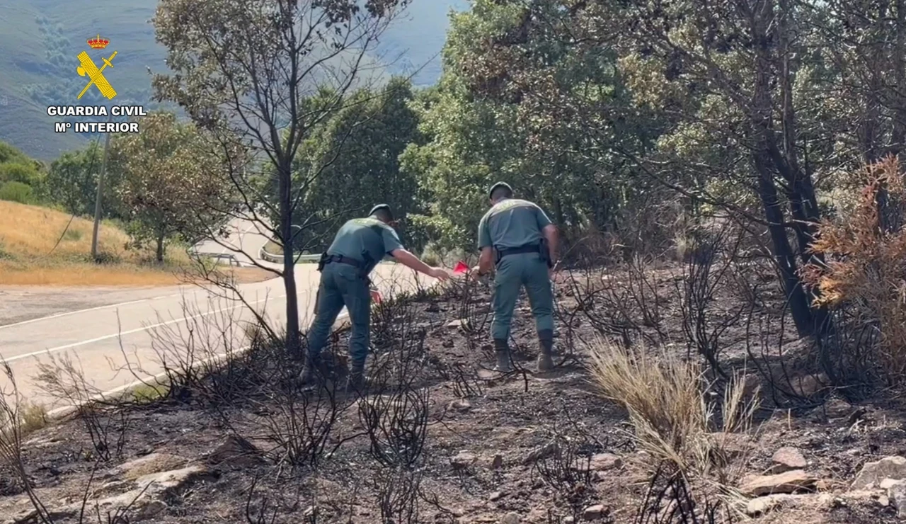 Detenido un hombre e investigado otro por presuntamente provocar 15 incendios en la provincia de Zamora