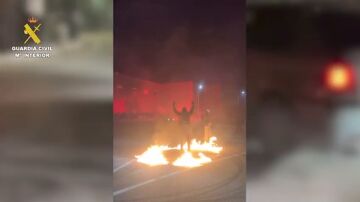 Desarticulan una red de carreras ilegales en Toledo: 17 detenidos y 25 investigados