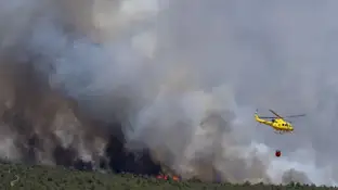 Incendio en La Mierla Incendio en La Mierla