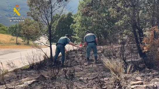 Detenido un hombre e investigado otro por presuntamente provocar 15 incendios en la provincia de Zamora Detenido un hombre e investigado otro por presuntamente provocar 15 incendios en la provincia de Zamora