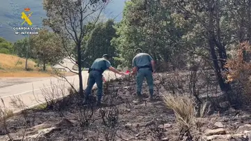Detenido un hombre e investigado otro por presuntamente provocar 15 incendios en la provincia de Zamora Detenido un hombre e investigado otro por presuntamente provocar 15 incendios en la provincia de Zamora