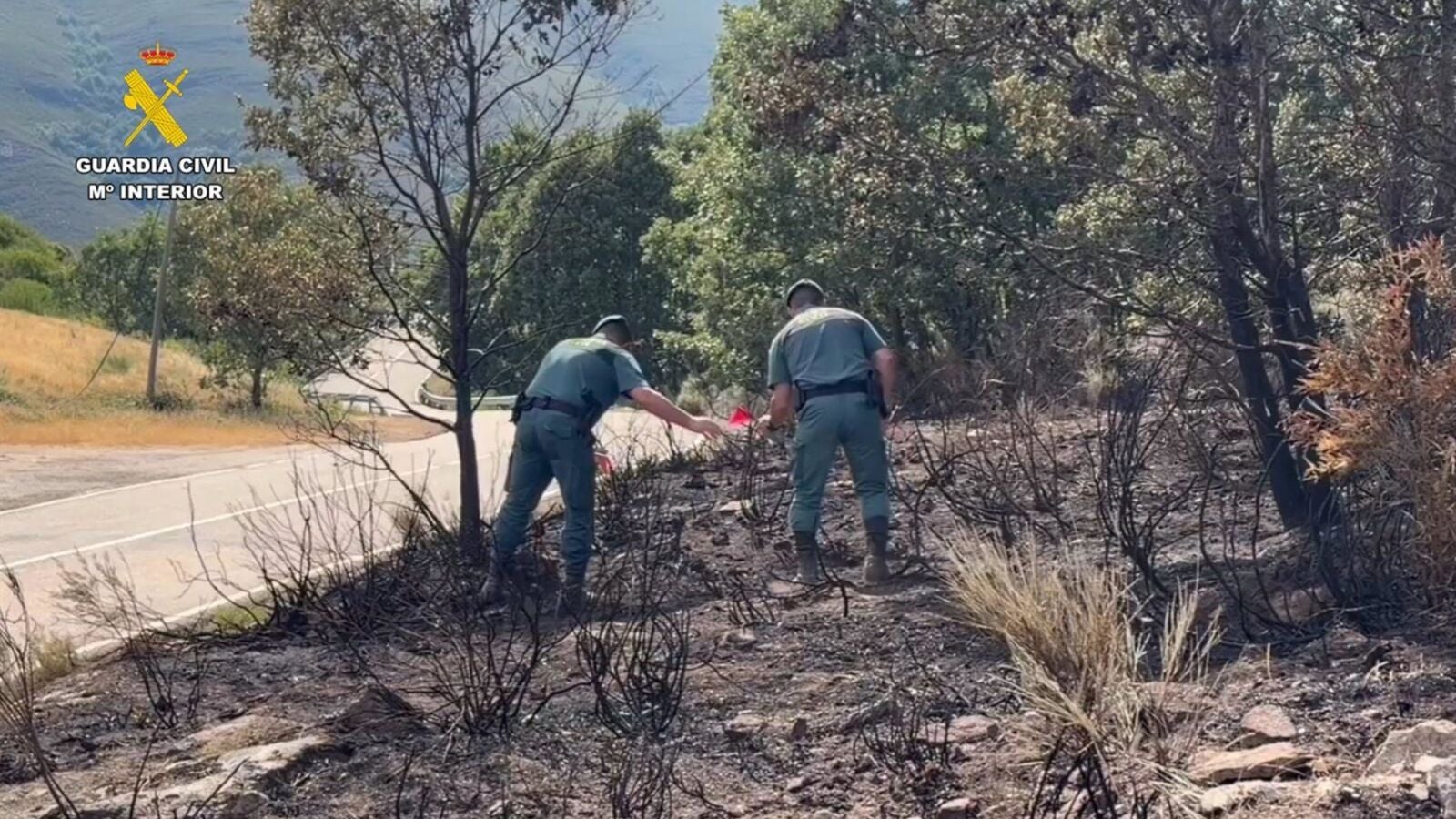 Detenido un hombre e investigado otro por su presunta relación con 15 incendios en Zamora