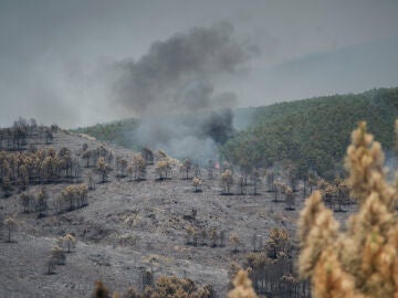 Extensi&oacute;n forestal quemada por el incendio, a 18 de julio de 2026, en La Mierla, Guadalajara, Castilla-La Mancha (Espa&ntilde;a)