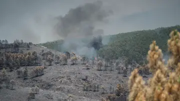 Extensión forestal quemada por el incendio, a 18 de julio de 2026, en La Mierla, Guadalajara, Castilla-La Mancha (España) Extensión forestal quemada por el incendio, a 18 de julio de 2026, en La Mierla, Guadalajara, Castilla-La Mancha (España)