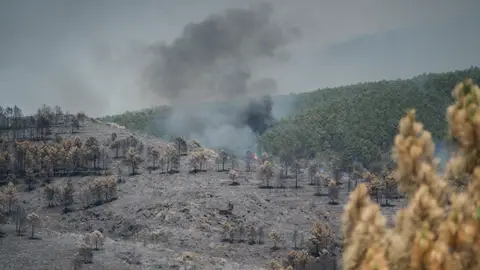Extensión forestal quemada por el incendio, a 18 de julio de 2026, en La Mierla, Guadalajara, Castilla-La Mancha (España) Extensión forestal quemada por el incendio, a 18 de julio de 2026, en La Mierla, Guadalajara, Castilla-La Mancha (España)