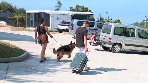 Hoteles pet friendly