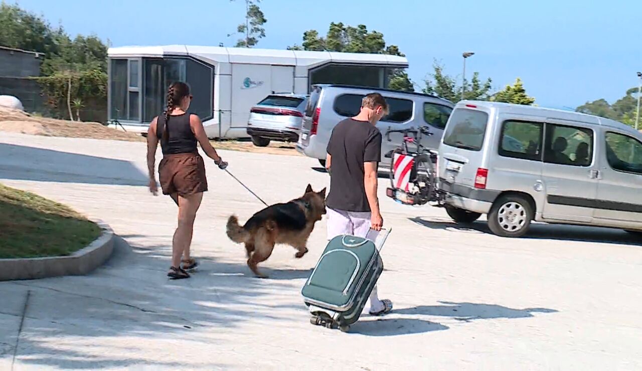 Hoteles pet friendly