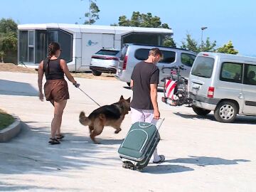 Hoteles pet friendly