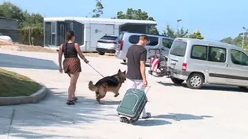 Hoteles pet friendly Hoteles pet friendly