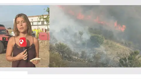 Incendios forestales Incendios forestales