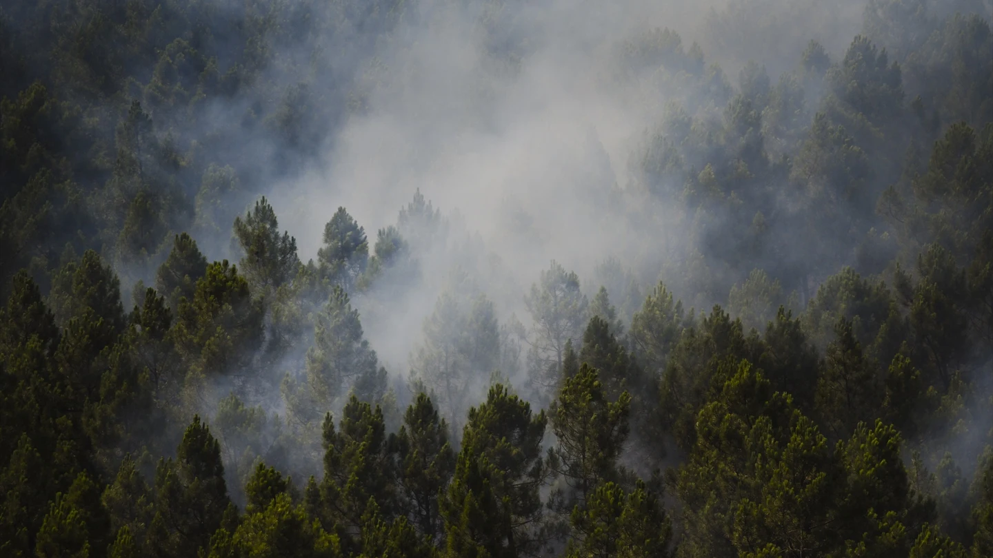 Incendio La Mierla Incendio La Mierla