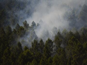 Incendio La Mierla