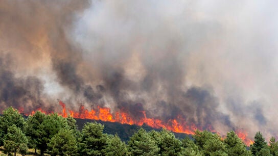 El incendio de Guadalajara, todav&iacute;a "fuera de su capacidad de extinci&oacute;n" y lejos de ser controlado
