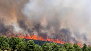 El incendio de Guadalajara, todav&iacute;a "fuera de su capacidad de extinci&oacute;n" y lejos de ser controlado