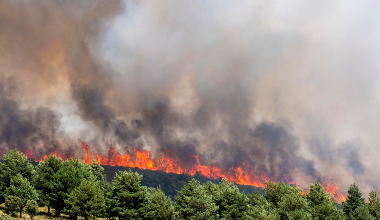 El incendio de Guadalajara, todav&iacute;a "fuera de su capacidad de extinci&oacute;n" y lejos de ser controlado