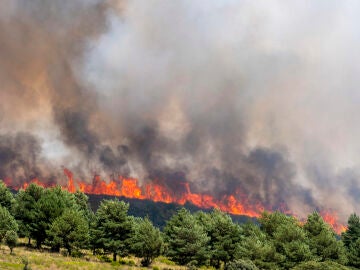 El incendio de Guadalajara, todav&iacute;a "fuera de su capacidad de extinci&oacute;n" y lejos de ser controlado