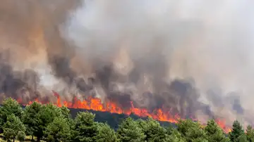 El incendio de Guadalajara, todavía "fuera de su capacidad de extinción" y lejos de ser controlado El incendio de Guadalajara, todavía "fuera de su capacidad de extinción" y lejos de ser controlado
