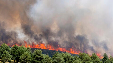 El incendio de Guadalajara, todav&iacute;a "fuera de su capacidad de extinci&oacute;n" y lejos de ser controlado