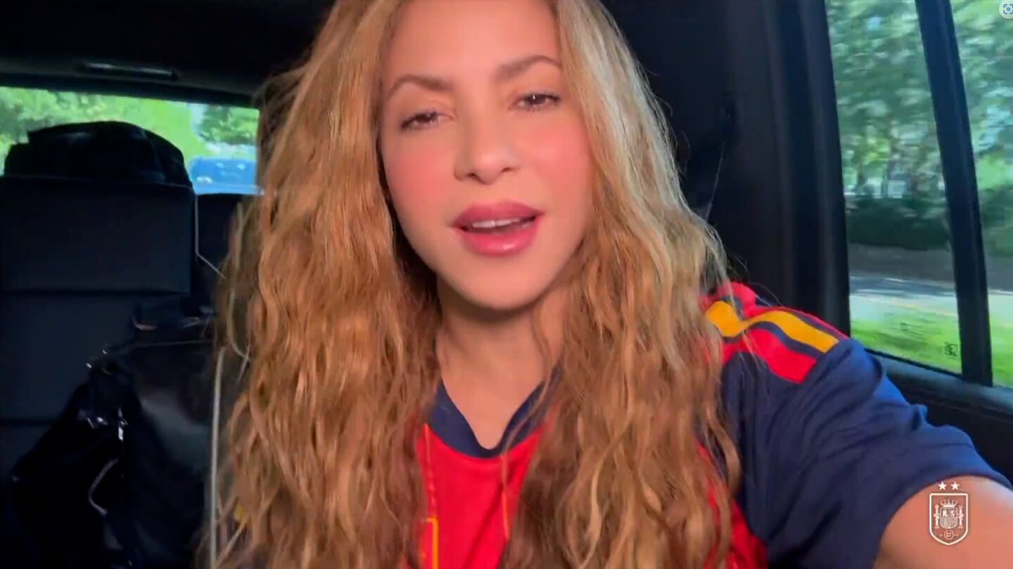Shakira iba con Argentina en la final del Mundial