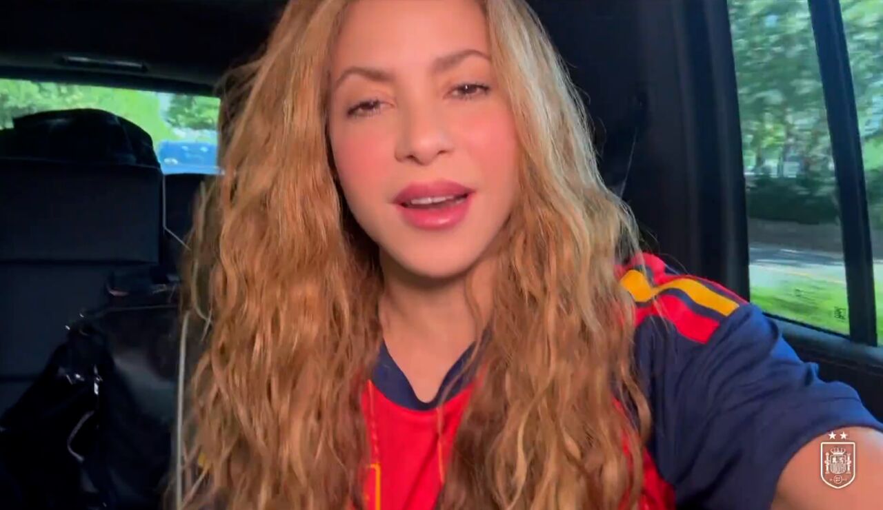 Shakira iba con Argentina en la final del Mundial