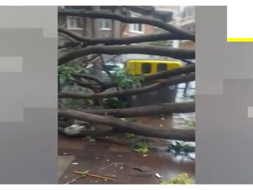 Un revent&oacute;n t&eacute;rmico siembra el caos en una avenida de L'Hospitalet