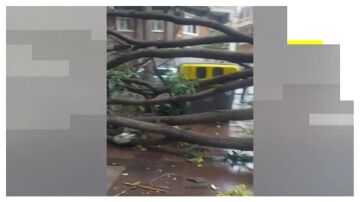Un revent&oacute;n t&eacute;rmico siembra el caos en una avenida de L'Hospitalet