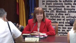 La presidenta del PSOE, Cristina Narbona, en el Senado 