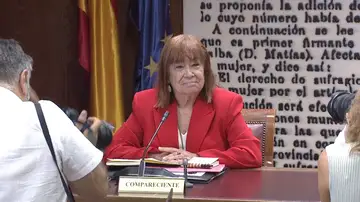 La presidenta del PSOE, Cristina Narbona, en el Senado La presidenta del PSOE, Cristina Narbona, en el Senado