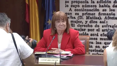 La presidenta del PSOE, Cristina Narbona, en el Senado Antena 3 Noticias