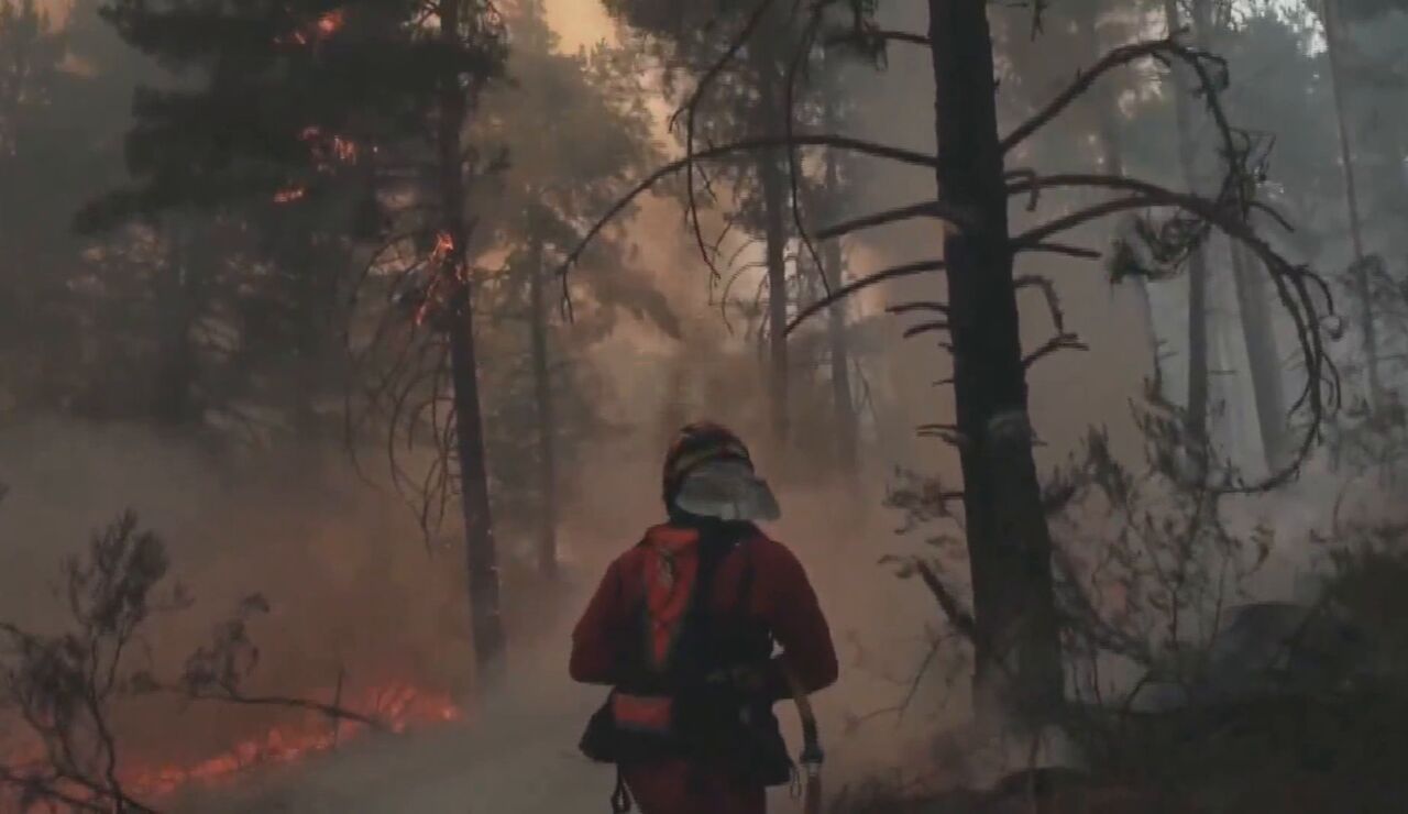 Incendio en la Mierla, Guadalajara 