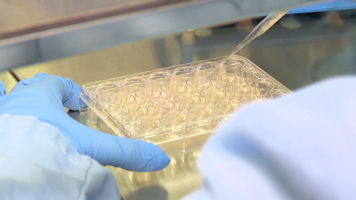 Ensayos en un laboratorio Ensayos en un laboratorio