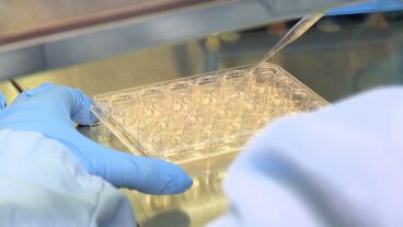 Ensayos en un laboratorio