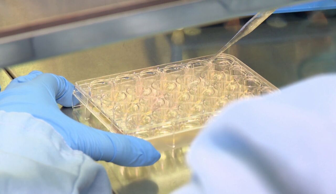 Ensayos en un laboratorio