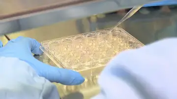 Ensayos en un laboratorio Ensayos en un laboratorio