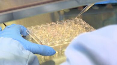Crean un dispositivo que reproduce un corazón humano para probar fármacos