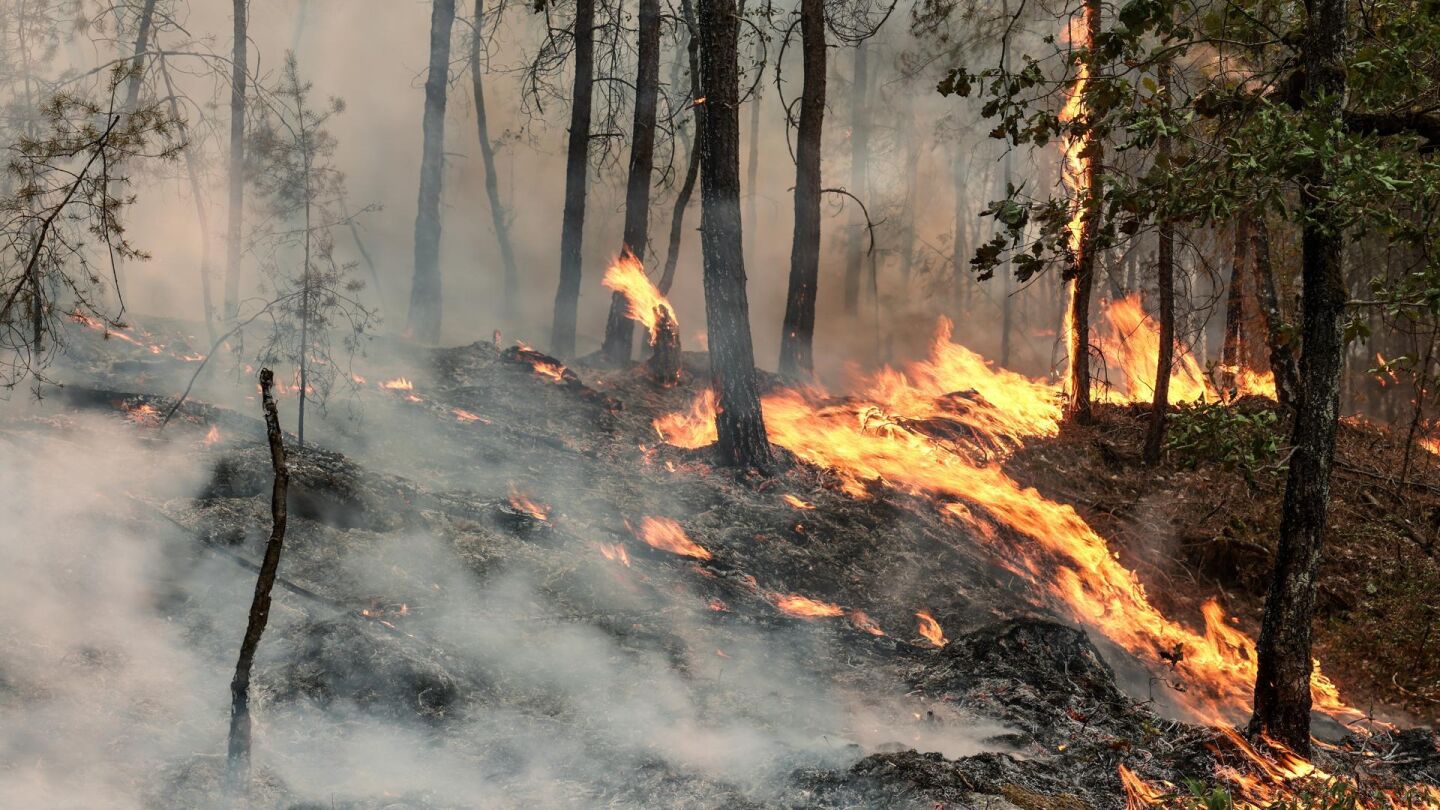 Incendio en el sur de Francia