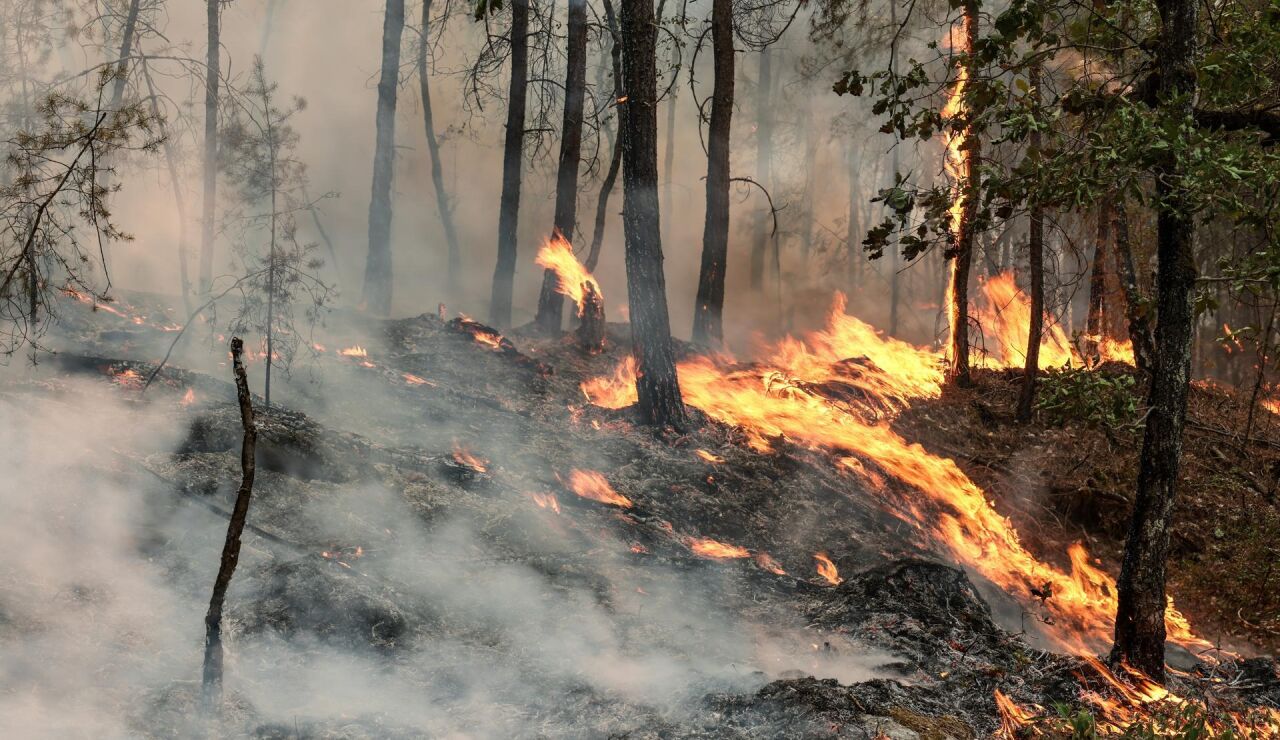 Incendio en el sur de Francia